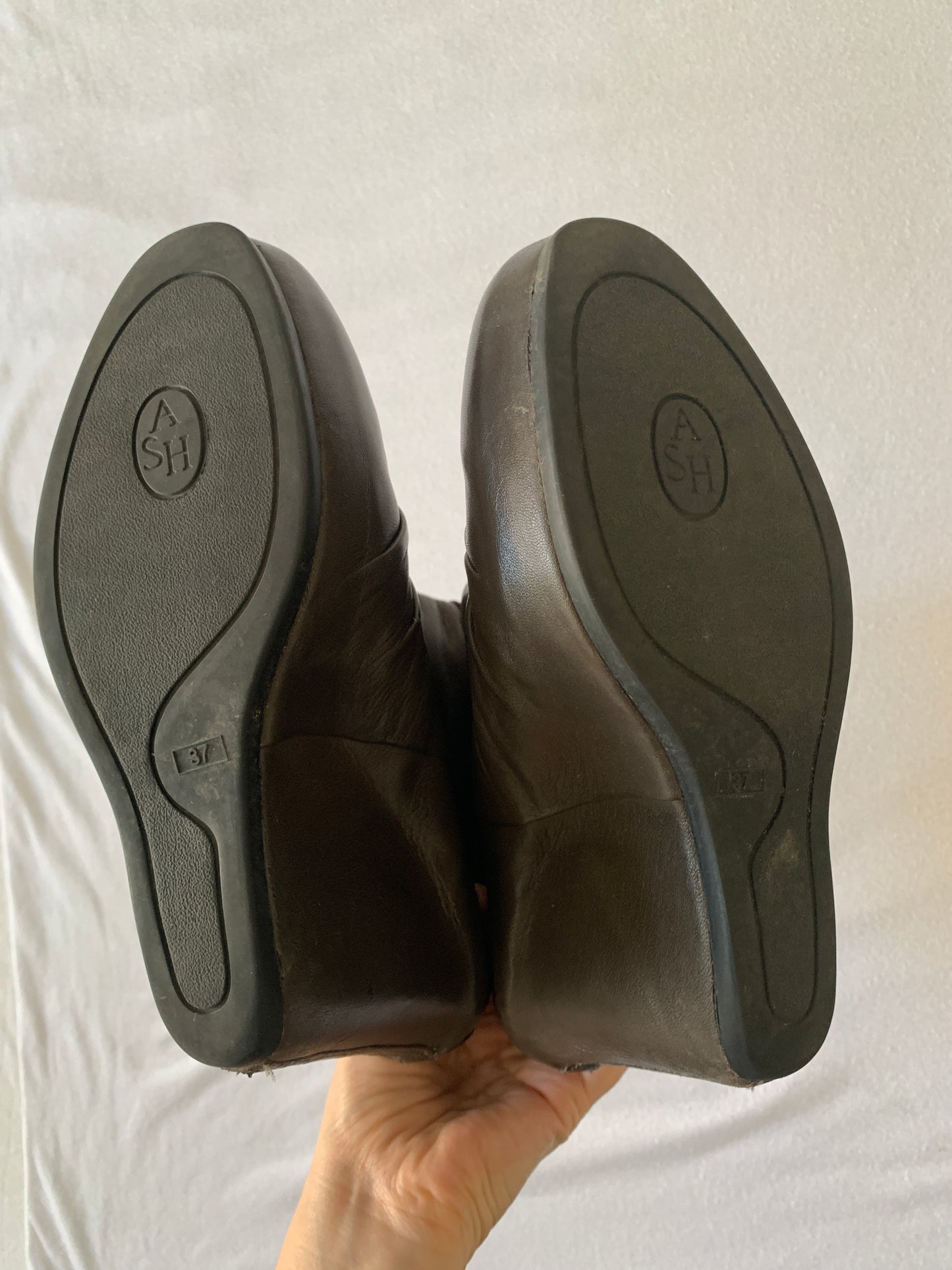 ash wedges 38